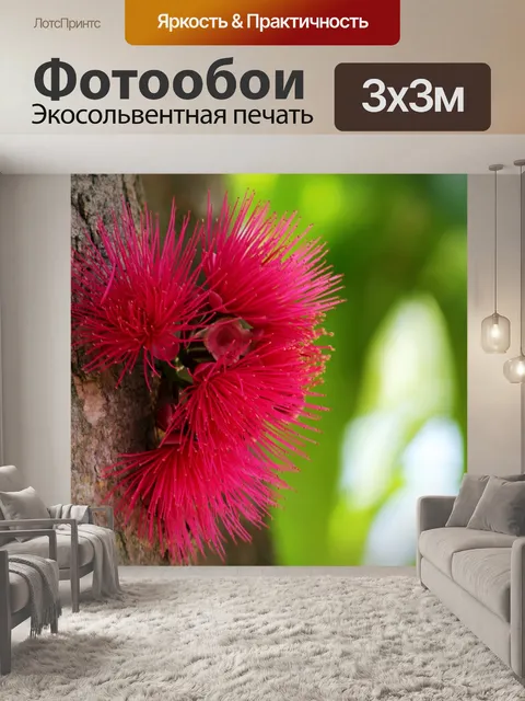 Фотообои Цветок