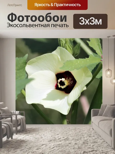 Фотообои Okra Bloom