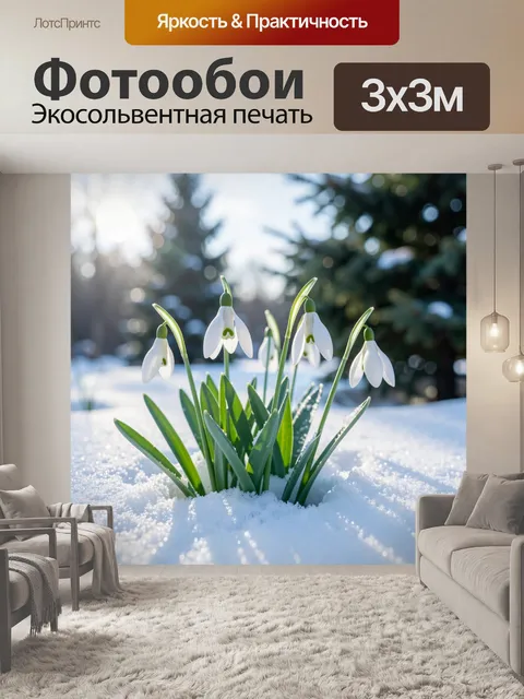 Фотообои Белые подснежники в снегу