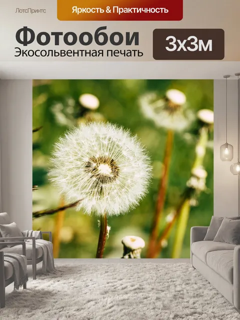 Фотообои Одуванчики