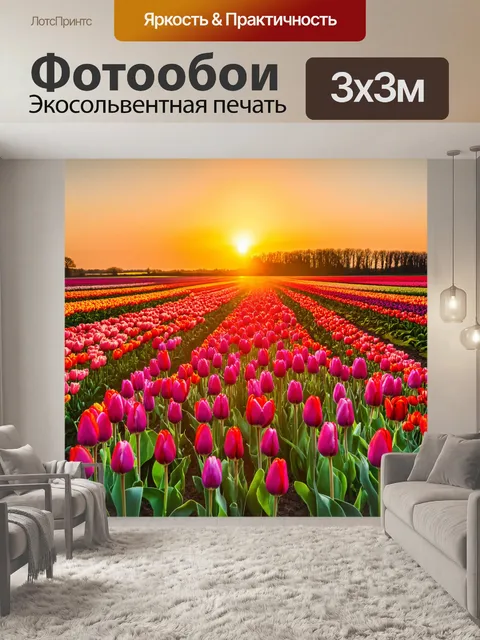 Фотообои закат над полем тюльпанов