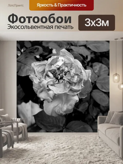 Фотообои Розовый