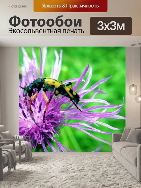 Фотообои Ошибка на фиолетовый цветок