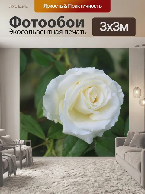 Фотообои Розы