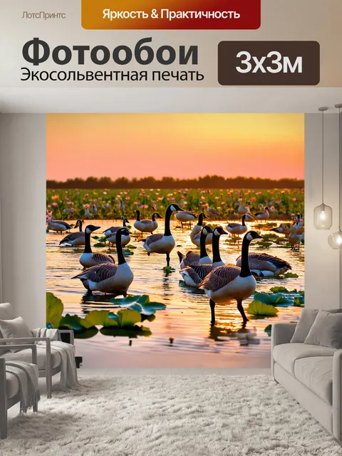 Фотообои стая гусей, собирающихся на закате в пруду, окруженном цветущими лотосами и зелеными берегами