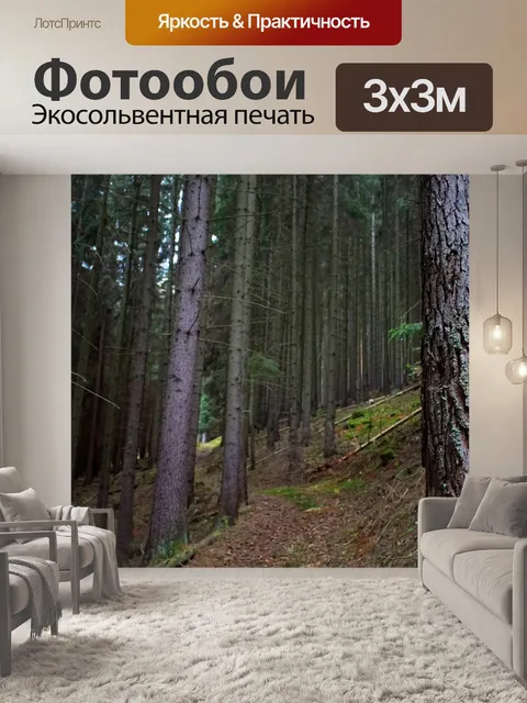 Фотообои Лес