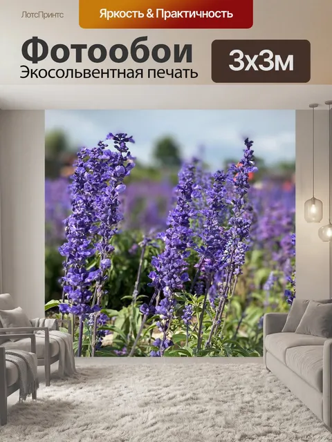 Фотообои Лаванда