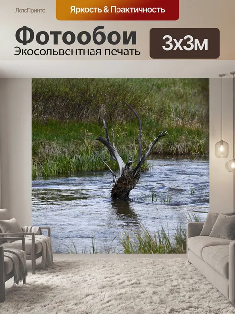 Фотообои ствол дерева в реке