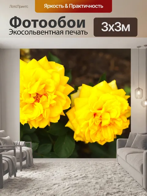 Фотообои Розы