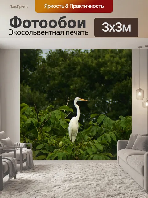 Фотообои Животное