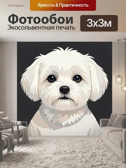 Фотообои Белый декоративный пёс крупным планом