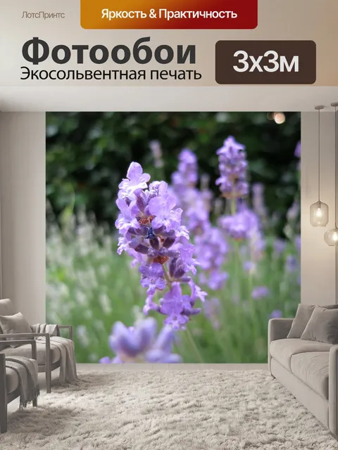Фотообои Лаванда