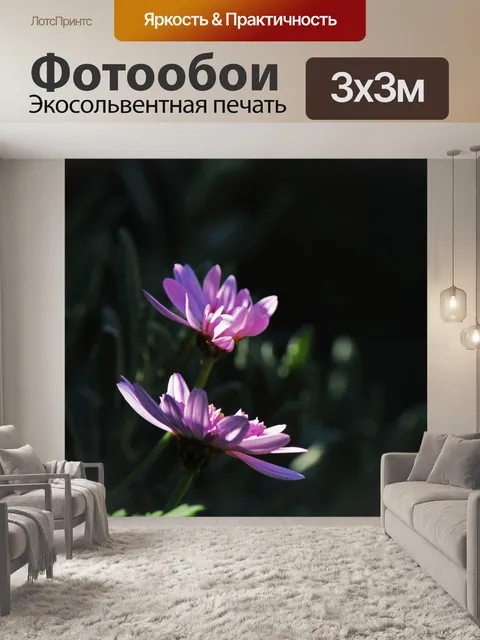 Фотообои две розовые ромашки в саду