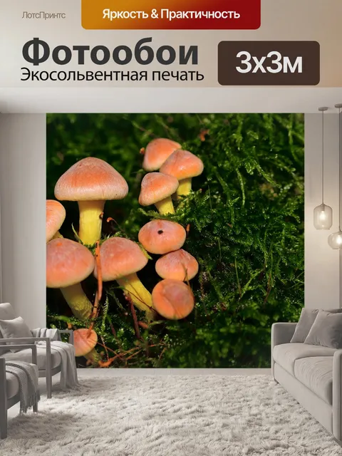 Фотообои Лес