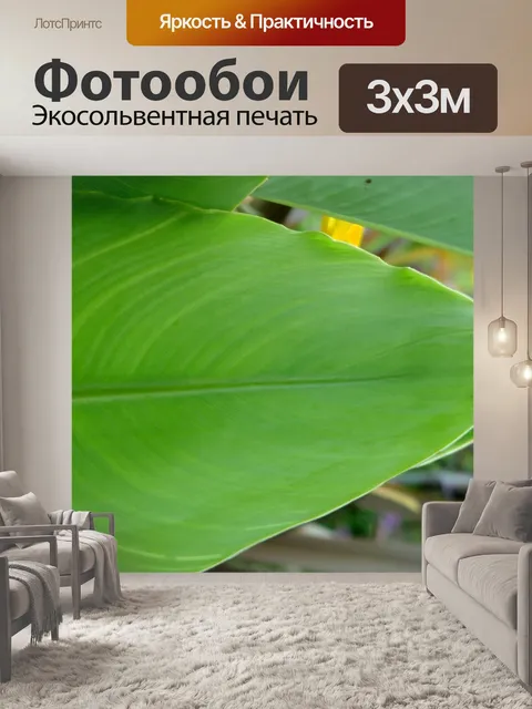 Фотообои Зеленый лист растения Фон