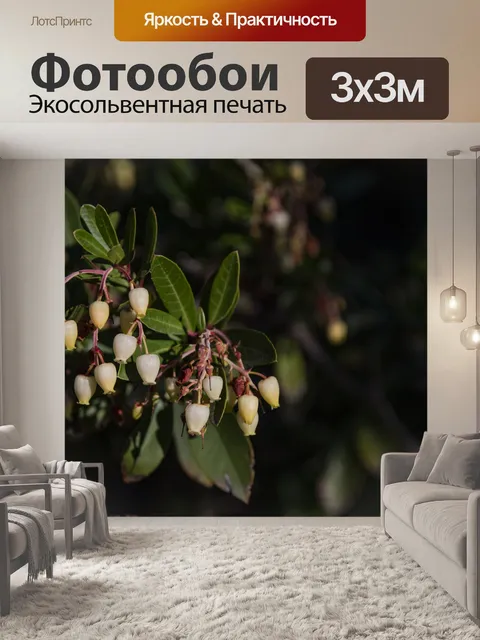 Фотообои Цветы земляничного дерева