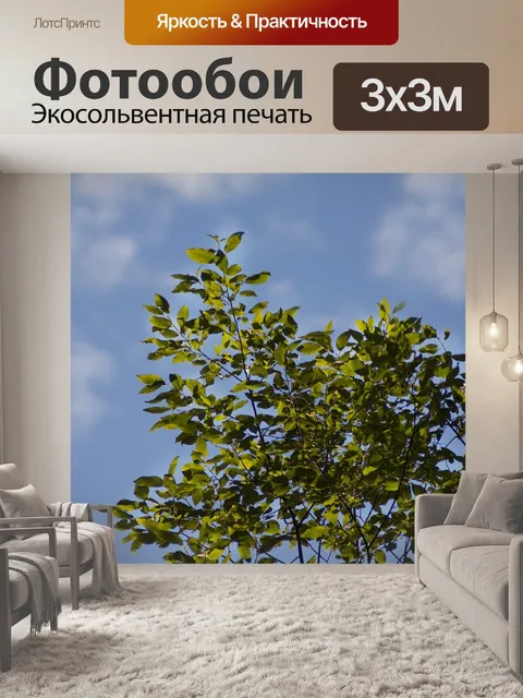 Фотообои Дерево