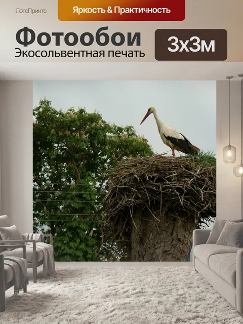 Фотообои Аист