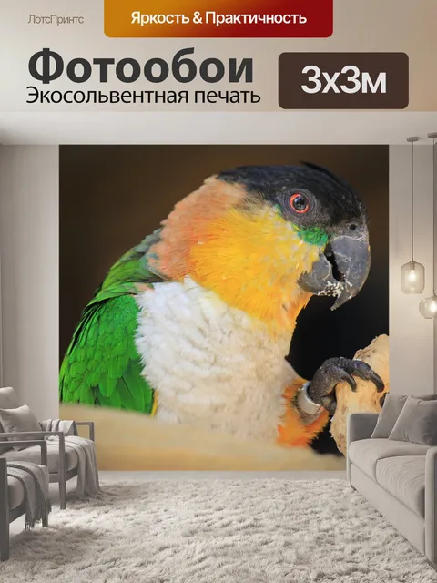 Фотообои Птицы