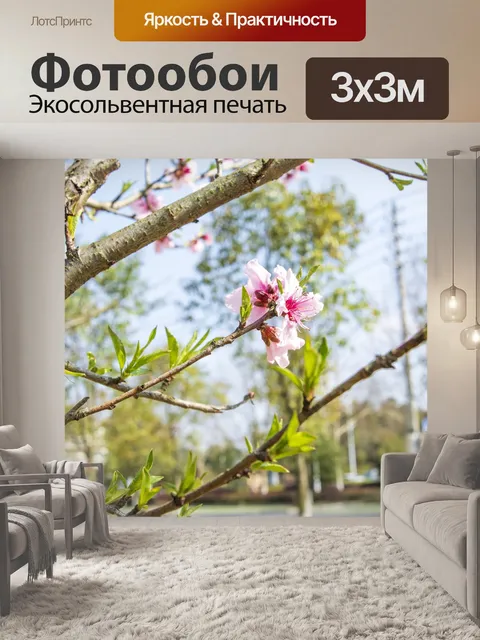 Фотообои Цветы