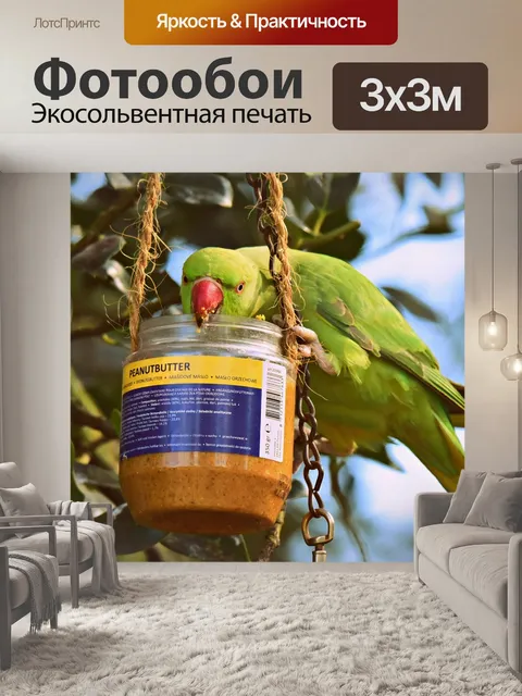 Фотообои Роза кольчатой попугай