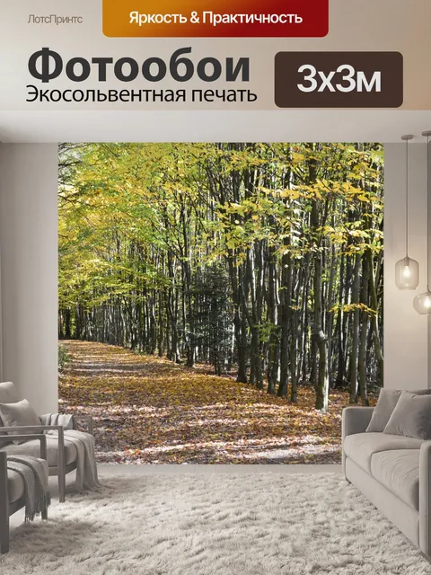 Фотообои Дорожка