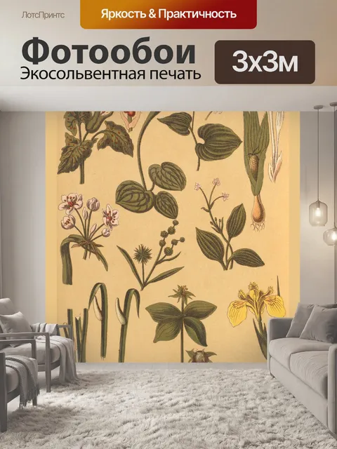 Фотообои Винтажные ботанические цветы эфемеры
