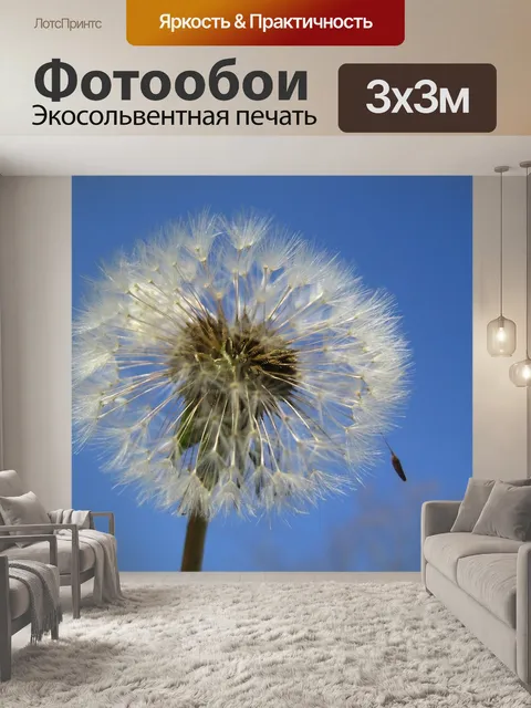 Фотообои Одуванчик