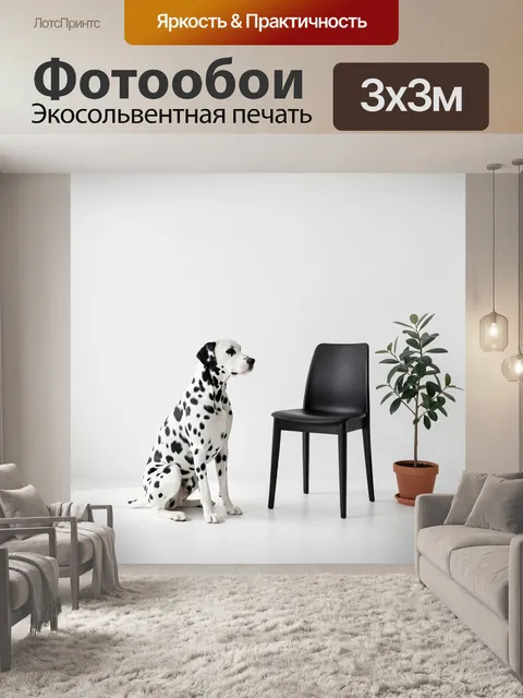 Фотообои Далматинец рядом с черным стулом