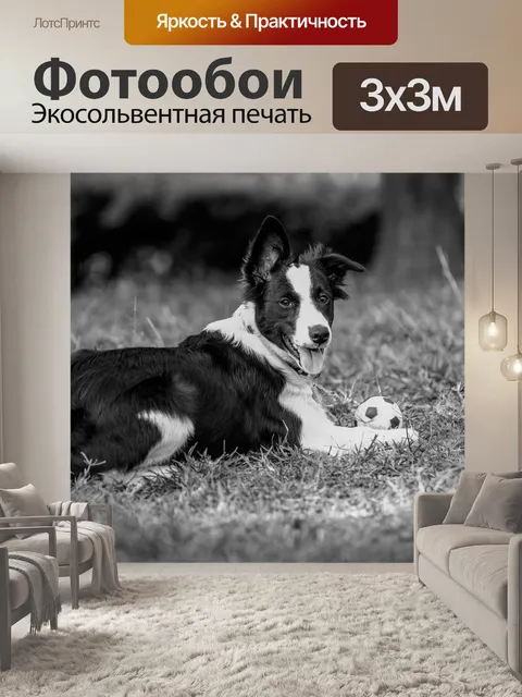 Фотообои Собаки