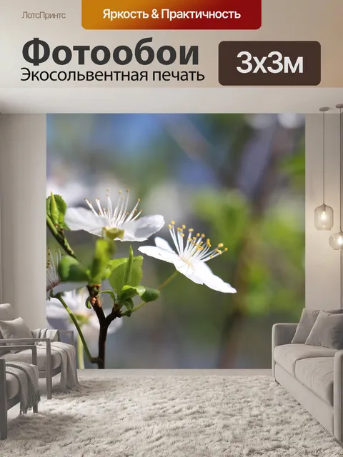Фотообои Цветы