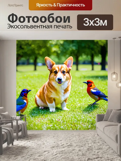 Фотообои корги, наблюдающий за птичками в парке, с любопытством в глазах