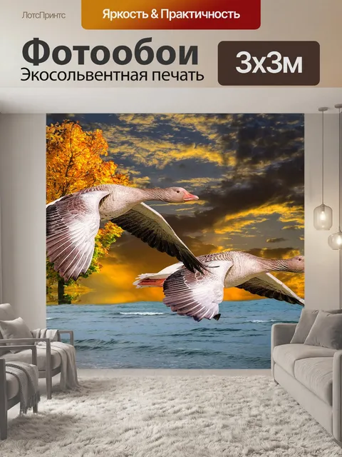 Фотообои Гуси