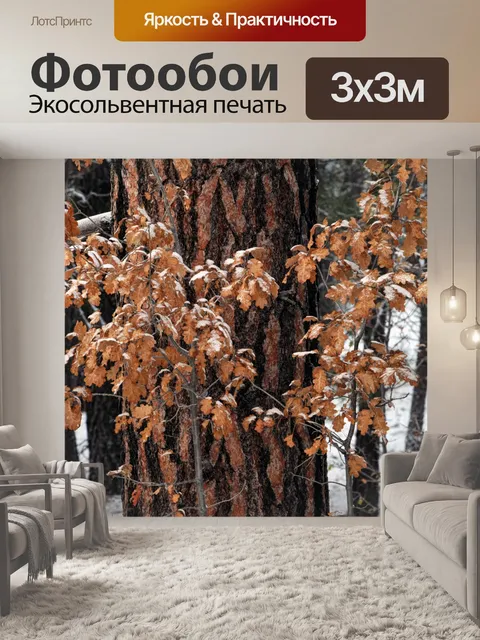 Фотообои Дуб ствол дерева в снегу