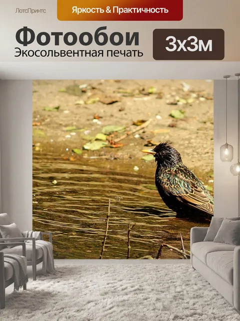 Фотообои Птица