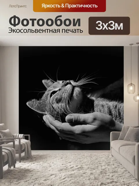 Фотообои Спокойствие