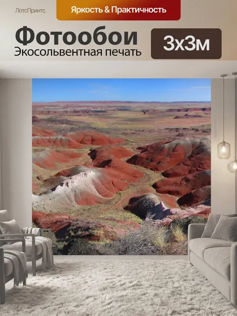 Фотообои Окаменелый лес Панорама