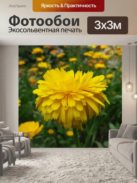 Фотообои Цветы