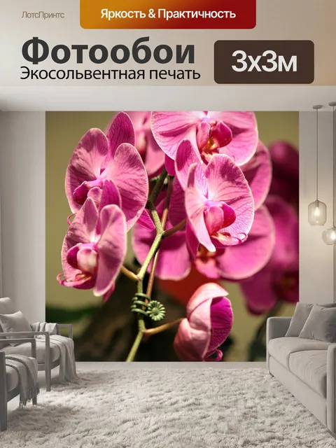 Фотообои розовый цветок орхидеи от Чани