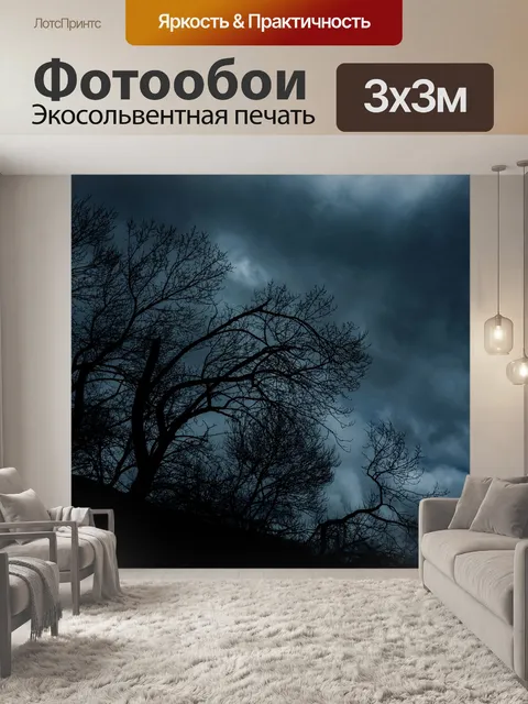 Фотообои Деревья