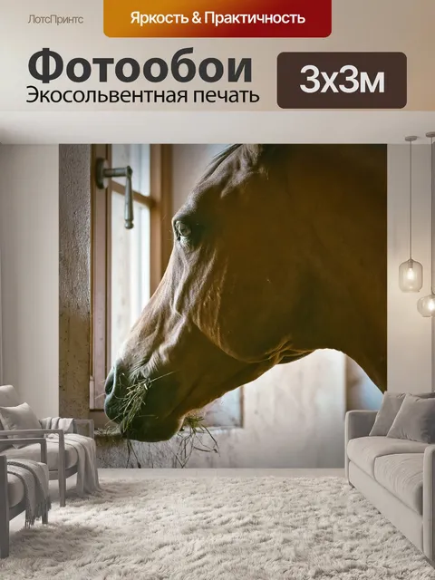 Фотообои Лошадь