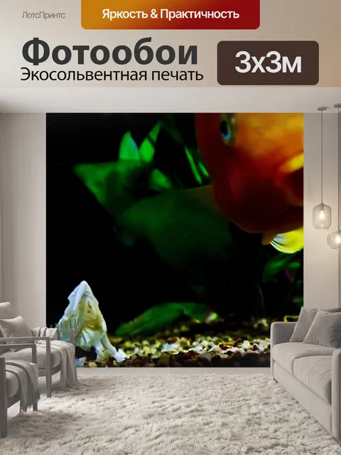 Фотообои Бак рыб