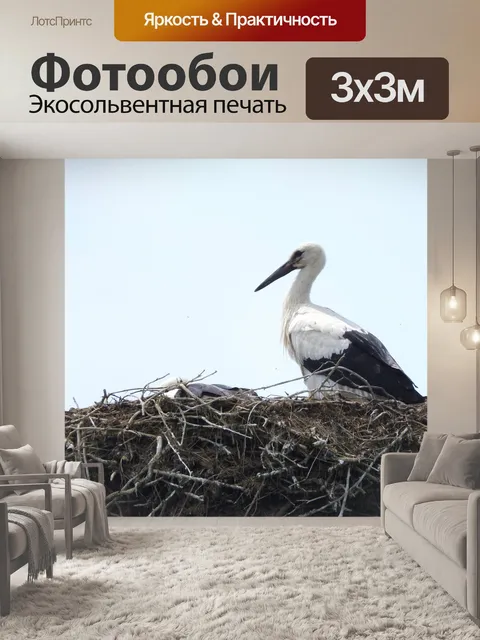 Фотообои Природа