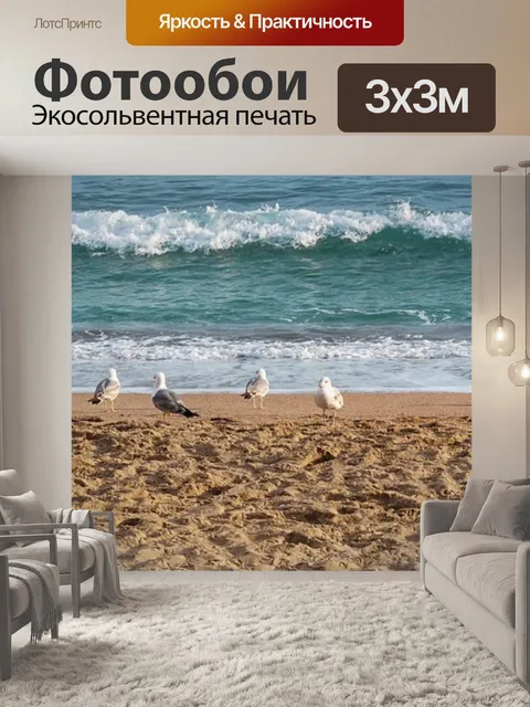 Фотообои Чайки
