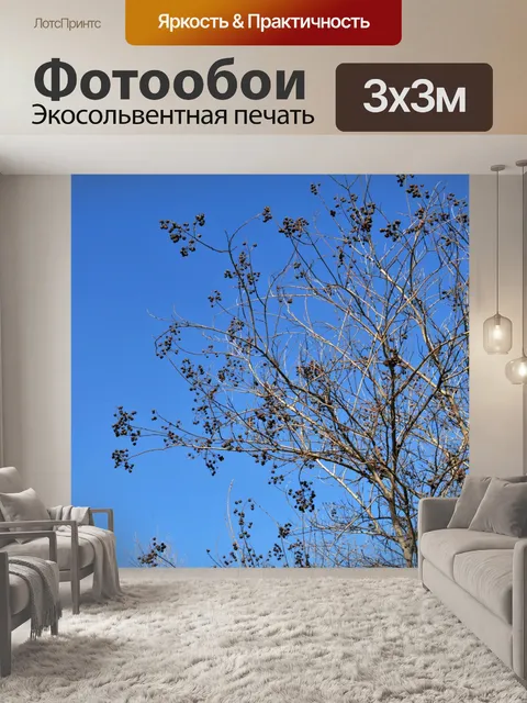 Фотообои Голое дерево яркое синее небо