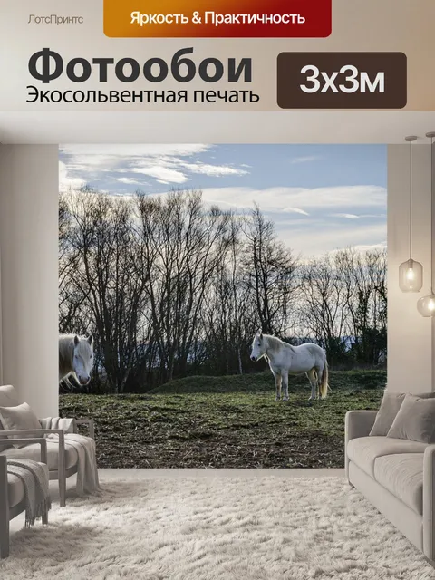 Фотообои Лошадь