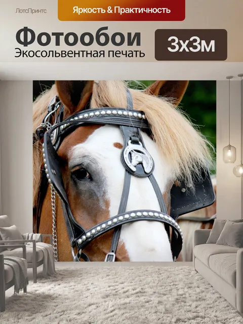Фотообои Лошадь и уздечки
