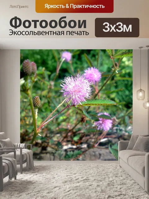 Фотообои Цветы