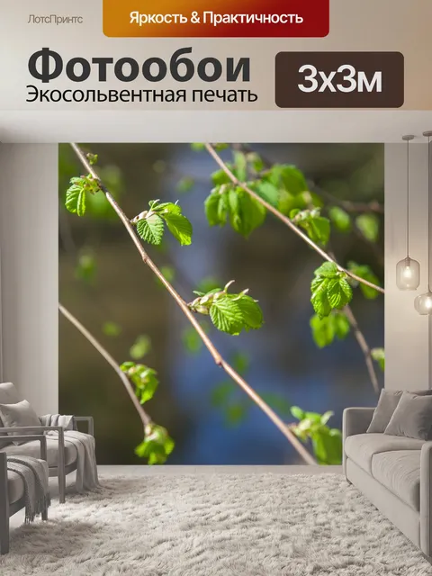 Фотообои Ветки