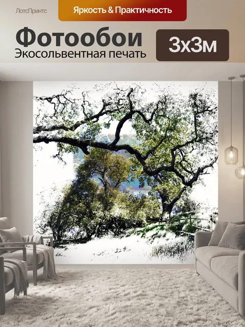 Фотообои деревья